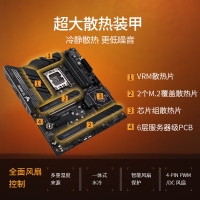华硕（ASUS）TUF GAMING Z790-PLUS D4主板 支持DDR4  CPU 13900K/13700K（Intel Z790/LGA 1700）
