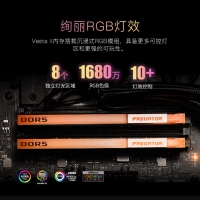 宏碁掠夺者（PREDATOR）32G(16G×2)套装 DDR5 6800频率 台式机内存条 Vesta II 炫光星舰RGB灯条(C32) 石耀黑