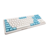 西部猎人 V300 混光电竞游戏机械键盘 87键 白+蓝    昆明键盘批发