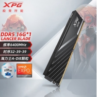 威刚(ADATA) XPG 威龙BLADE 6400 16G DDR5（黑）马甲条 海力士A代颗粒 台式机内存