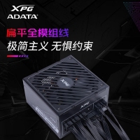 威刚（ADATA）XPG魔核II SE850W 黑色电源 金牌全模组台式电脑电源atx3.0电源支持4090