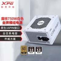 威刚（ADATA）XPG魔核II 750W 白【ATX3.0】电源金牌全模组全日系电容台式电脑主机游戏电竞白金效能智能温控