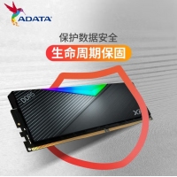 威刚(ADATA)XPG龙耀D500G 32GB(16GBX2)套装 DDR5 8000 (黑色) 台式机内存条
