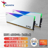 威刚(ADATA)XPG龙耀D500G 32GB(16GBX2)白色彩包套装 DDR5 6000 C30海力士A die内存条