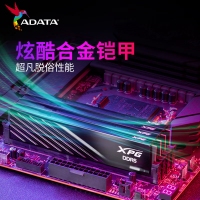 威刚威龙 BB300 16G 6400 DDR5 黑色 (小马甲)