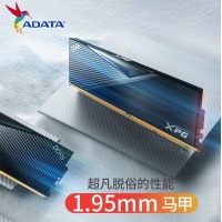 威刚（ADATA）威龙 D500黑 6000 16G LANCER 内存条DDR5 XMP3.0高频电脑台式机内存条