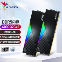 威刚(ADATA)XPG龙耀D500G 64GB(32GBX2) DDR5 6000 黑色彩包套装 C30海力士A die内存