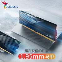 威刚（ADATA）威龙 D500黑 6400 16G DDR5 XMP3.0高频电脑台式机内存条