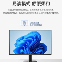 飞利浦 24E2N1100L 24英寸显示器 100HZ IPS技术低蓝光不闪商务办公显示屏