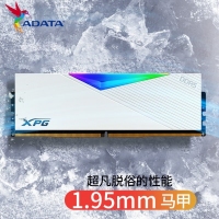 威刚XPG D500G 32G(16G*2) 6800 DDR5 DW500G (釉白) RGB 台式机内存条 海力士A-die