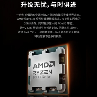 AMD 锐龙9 9900X处理器(R9) 4nm 12核 24线程 加速频率至高 5.6GHz 120W AM5接口 盒装CPU