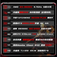 【黑神话·悟空】AMD 9600X/华硕B650M-PLUS/RTX4060电竞主机