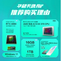 华硕天选Air 2024 FA401WV370日蚀灰 锐龙AI9HX-370 16G 1TB RTX4060-8G 电竞游戏本