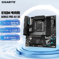 技嘉（GIGABYTE）电竞雕 B760M AORUS PRO AX 主板DDR5支持CPU 1390013700KF