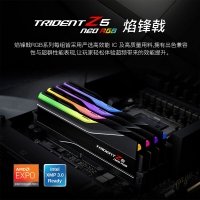 芝奇（G.SKILL）焰锋戟 64GB(32Gx2) DDR5 6000 RGB灯条/AMD EXPO/C30