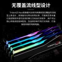 芝奇（G.SKILL）焰锋戟 64GB(32Gx2) DDR5 6000 RGB灯条/AMD EXPO/C30