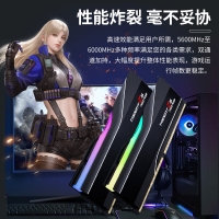 芝奇（G.SKILL）焰锋戟 64GB(32Gx2) DDR5 6000 RGB灯条/AMD EXPO/C30